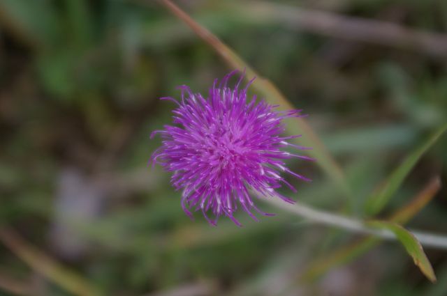 imgp9551