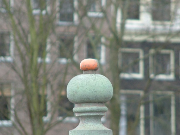 DSCF0050