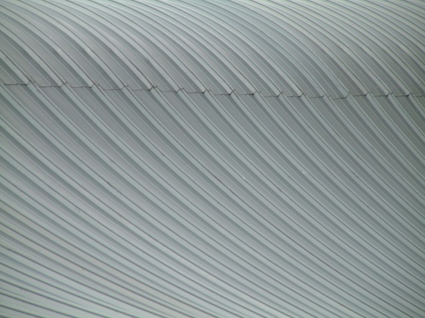 DSCF0075