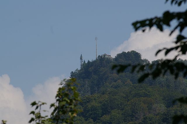 IMGP2040