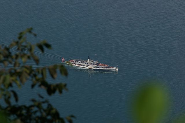 IMGP2054