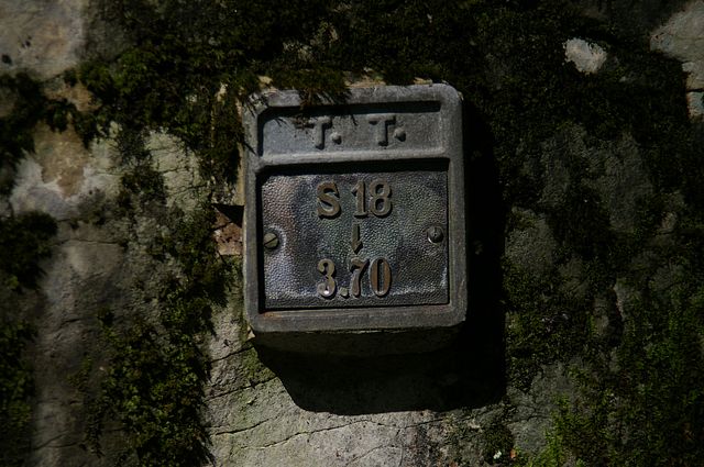 IMGP2116