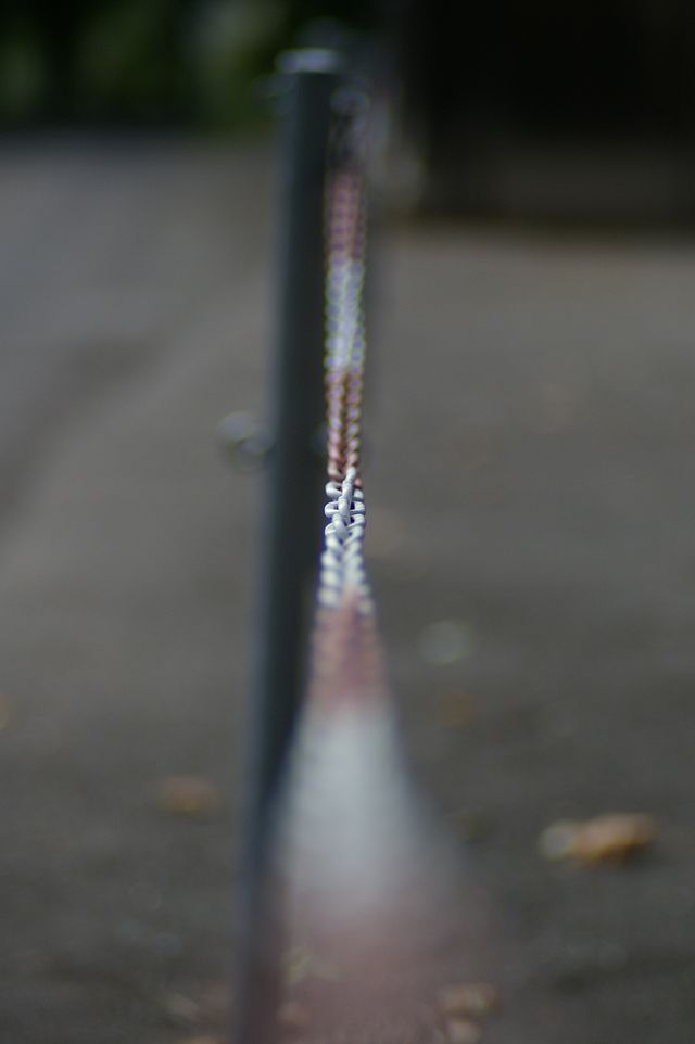 IMGP2145