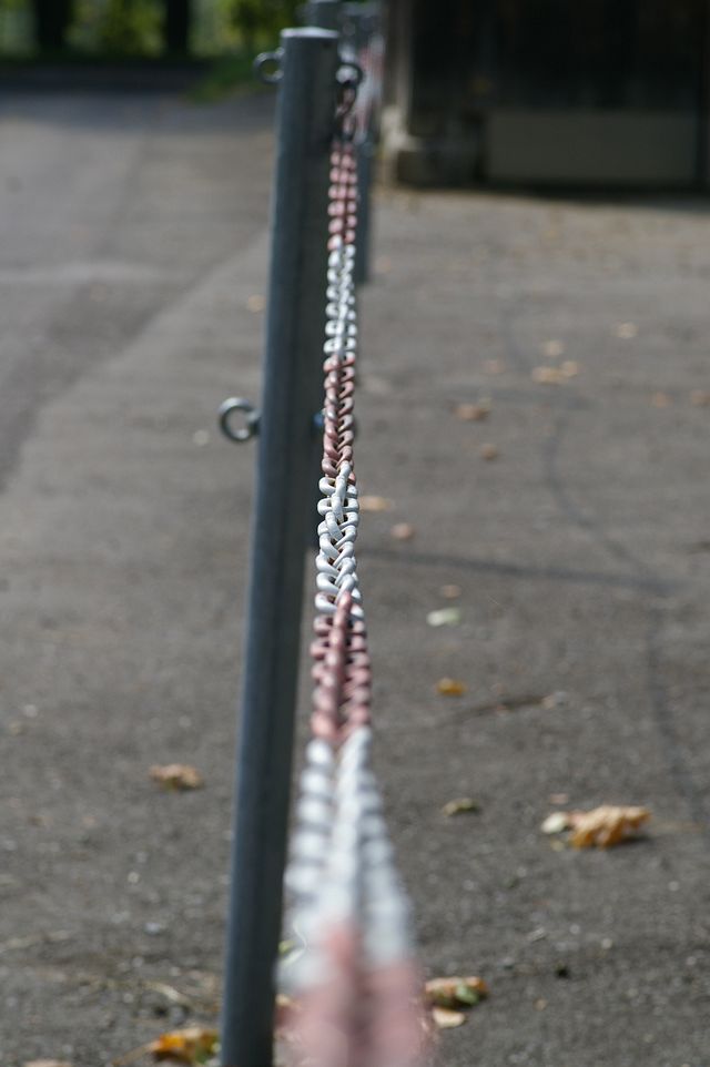 IMGP2146