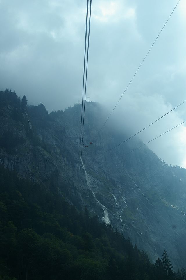 IMGP2181