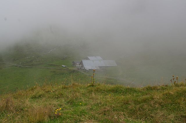 IMGP2186