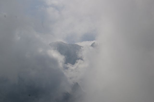 IMGP2206