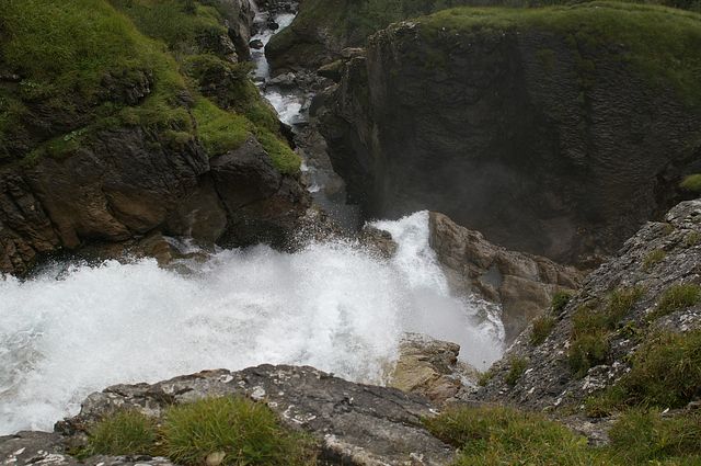 IMGP2264