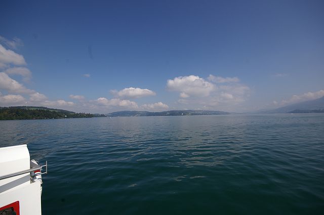 IMGP2311