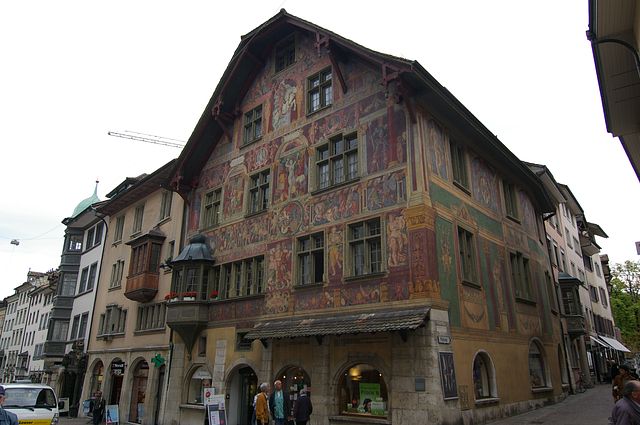 IMGP2448