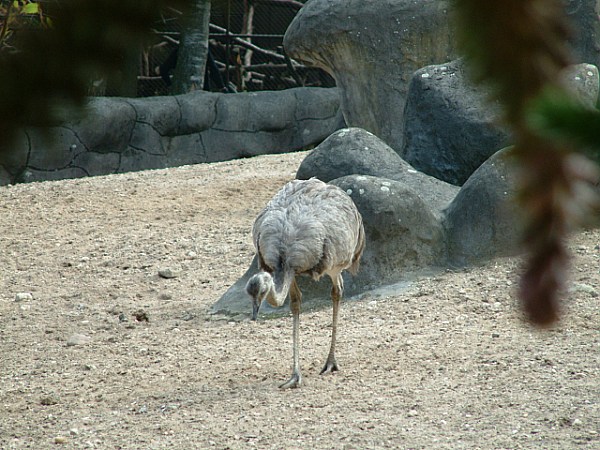 DSCF0051
