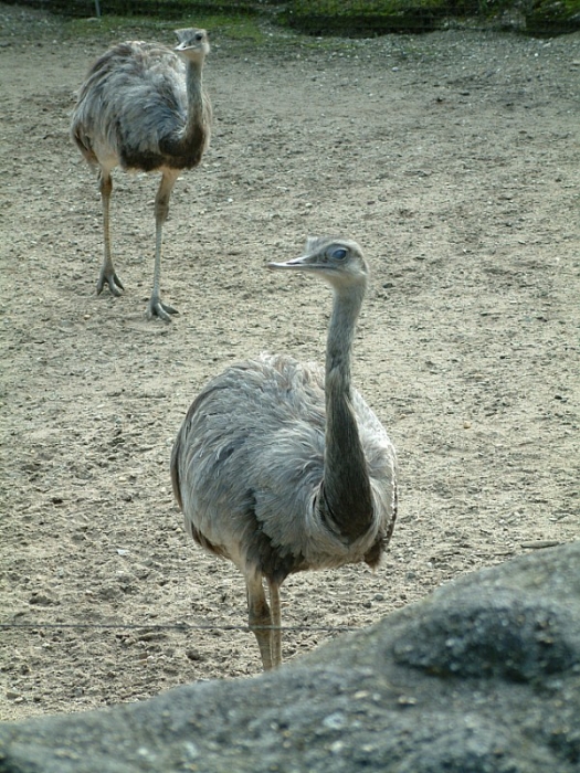 DSCF0053