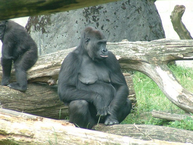 DSCF0081