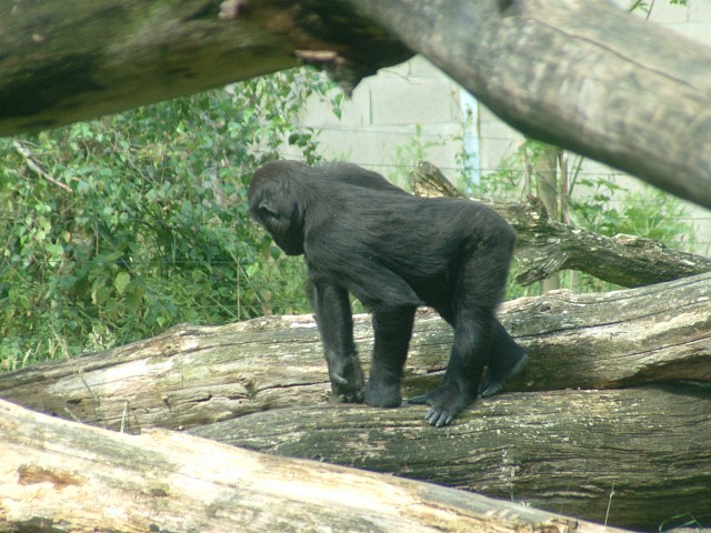 DSCF0082
