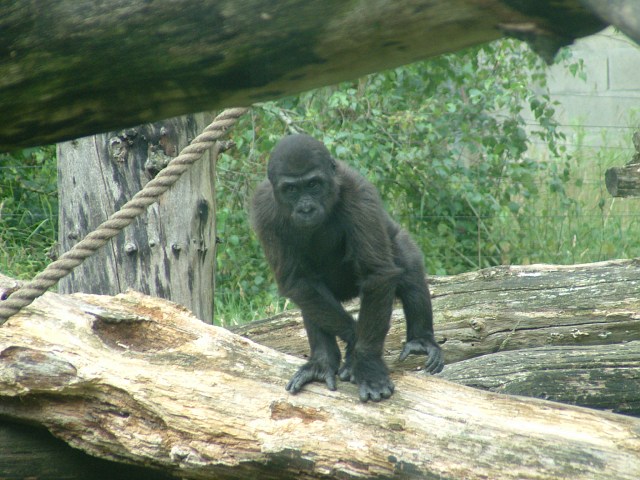 DSCF0084