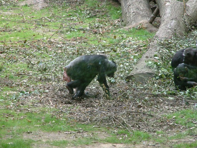 DSCF0088