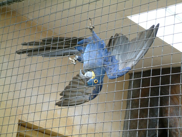 DSCF0090