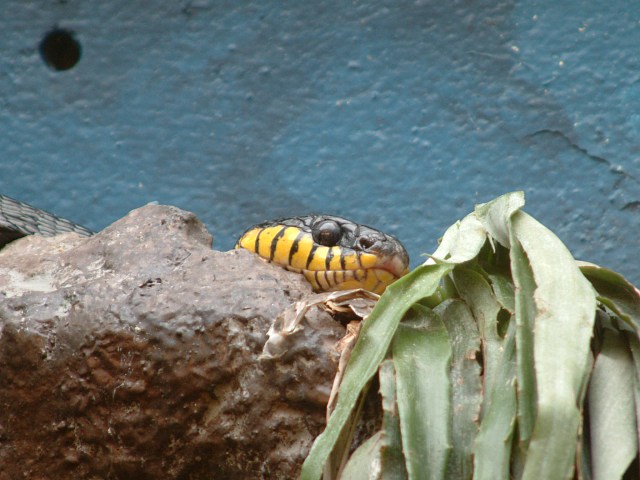 DSCF0091