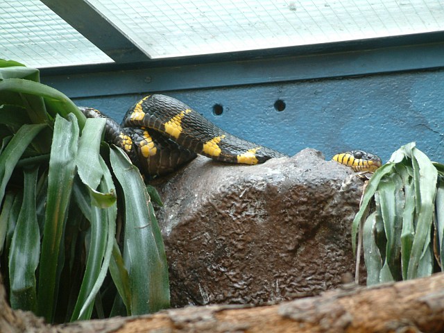 DSCF0092