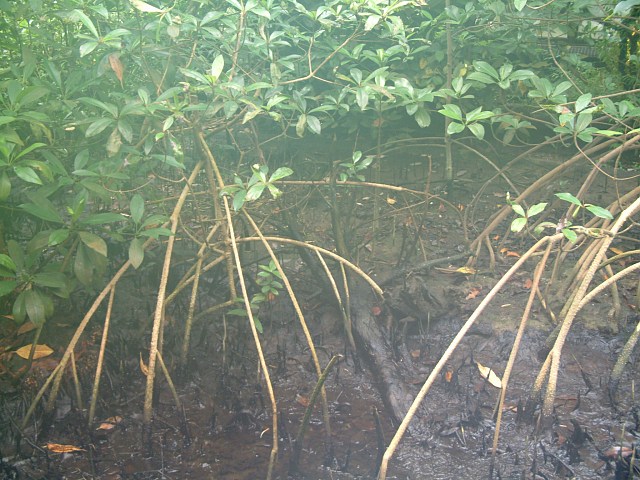 DSCF0108