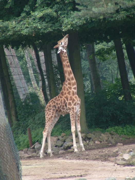 DSCF0115