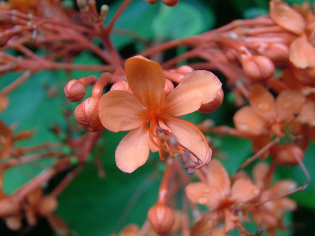 DSCF0140