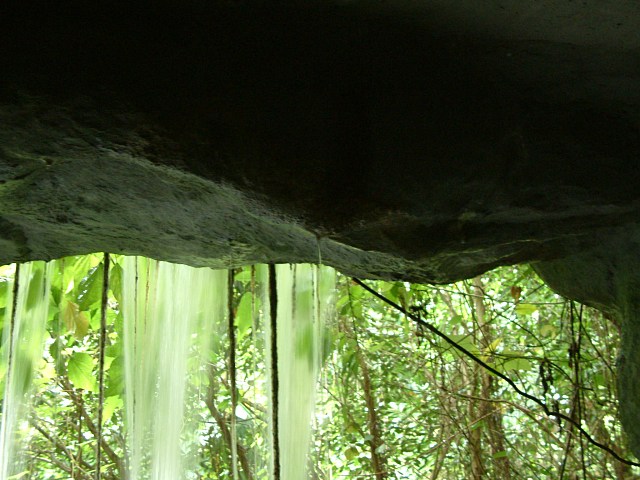 DSCF0156