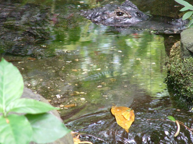DSCF0162