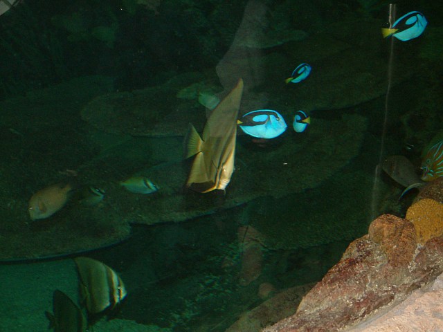 DSCF0172
