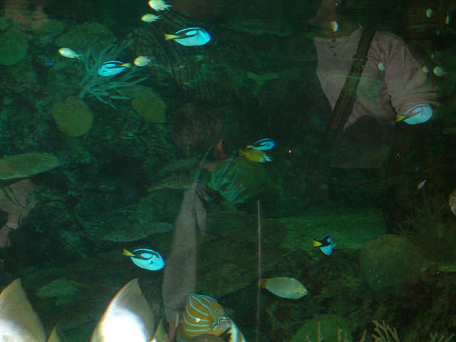 DSCF0173
