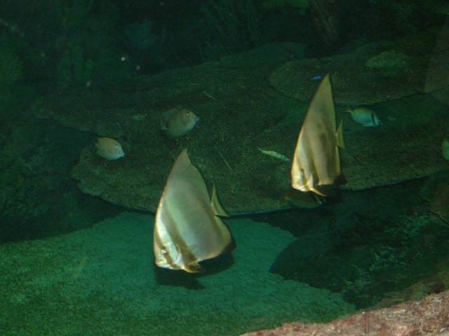 DSCF0174