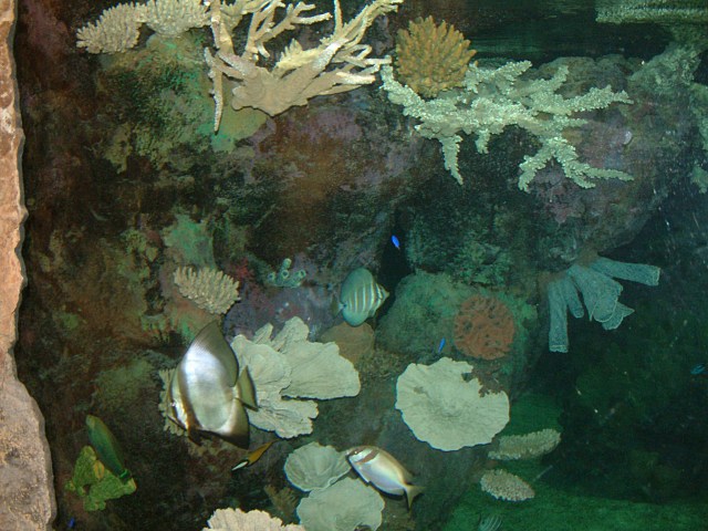 DSCF0180