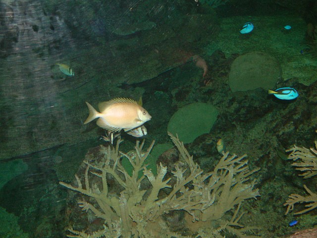 DSCF0181