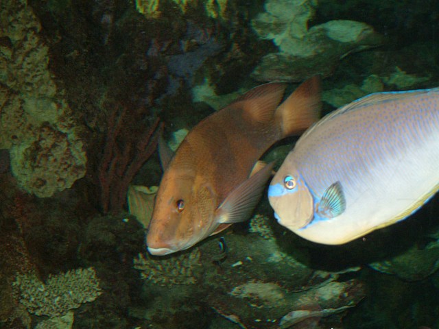 DSCF0187