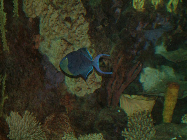 DSCF0190