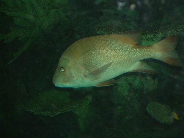 DSCF0191
