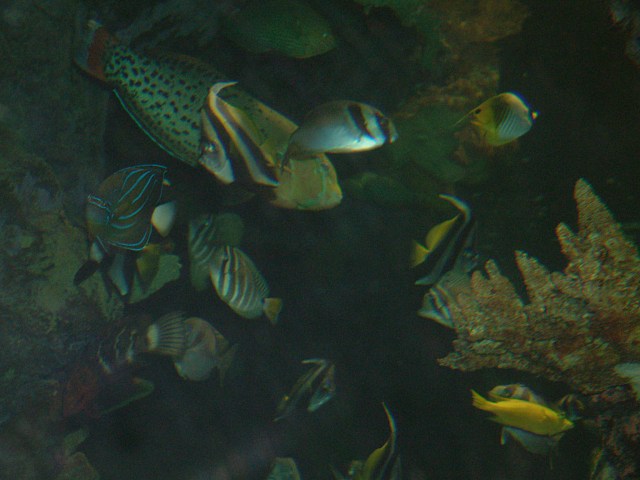 DSCF0197