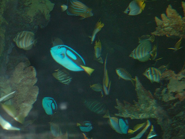 DSCF0199