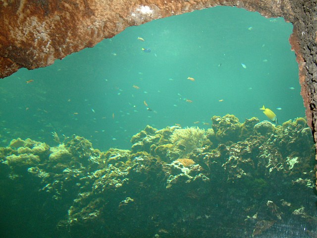 DSCF0206