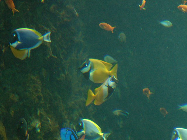 DSCF0209