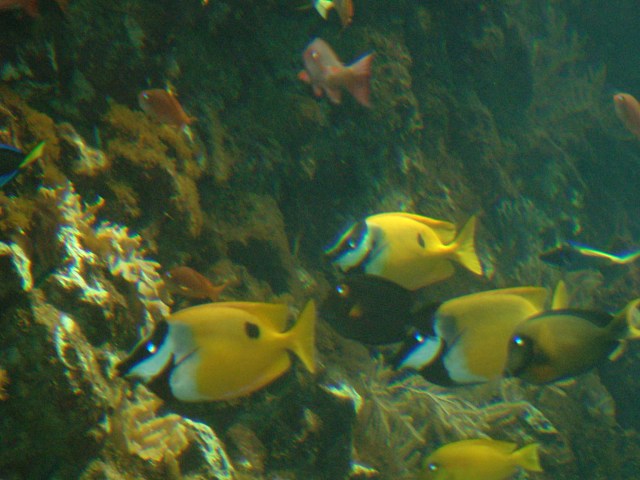 DSCF0210