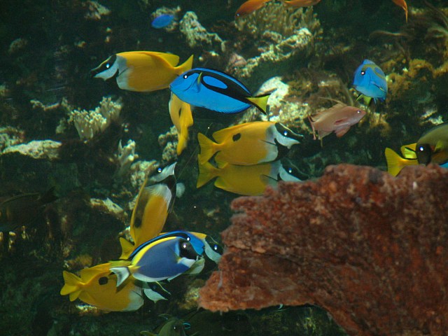 DSCF0213
