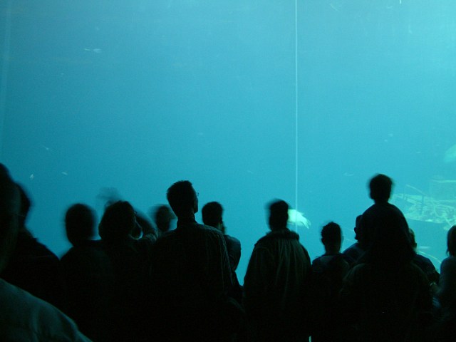 DSCF0228