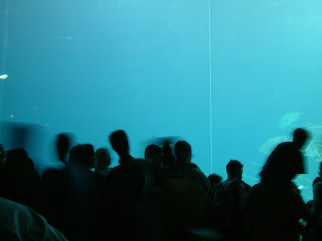 DSCF0229