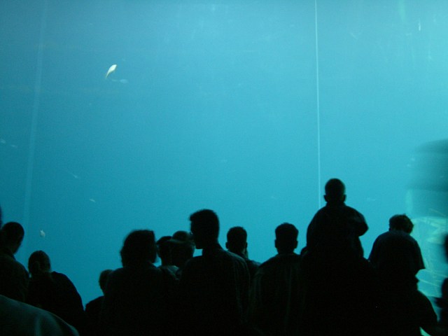 DSCF0230