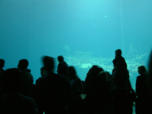 DSCF0231