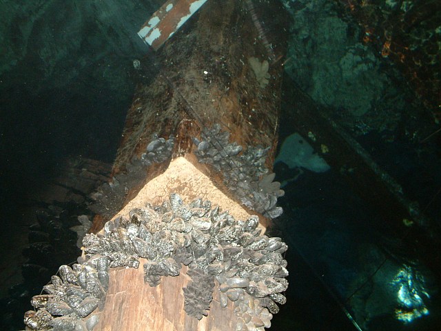 DSCF0237