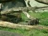 DSCF0079